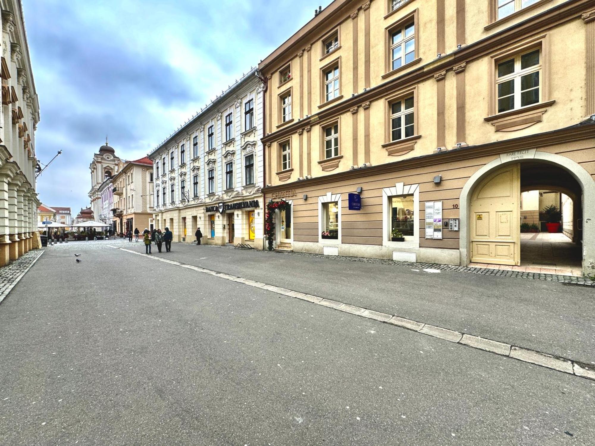 Blue Nest Apartment Timisoara Bagian luar foto
