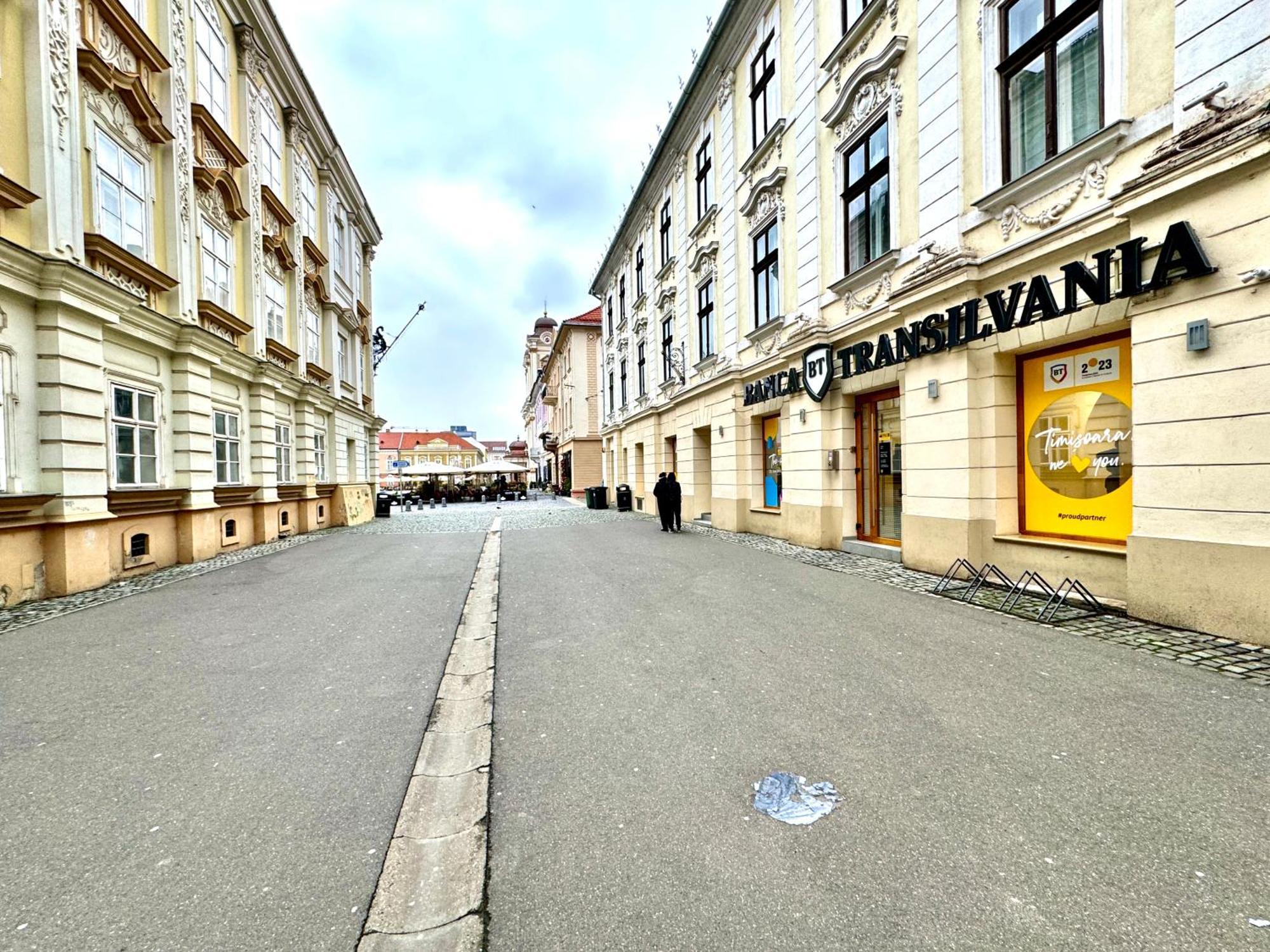 Blue Nest Apartment Timisoara Bagian luar foto
